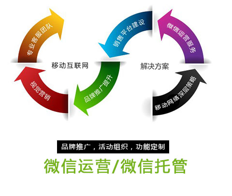 品牌推广 活动组织 功能定制 微信运营微信托管
