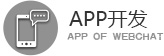 APP开发